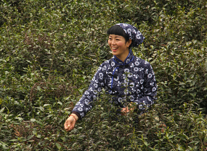 上海小姐